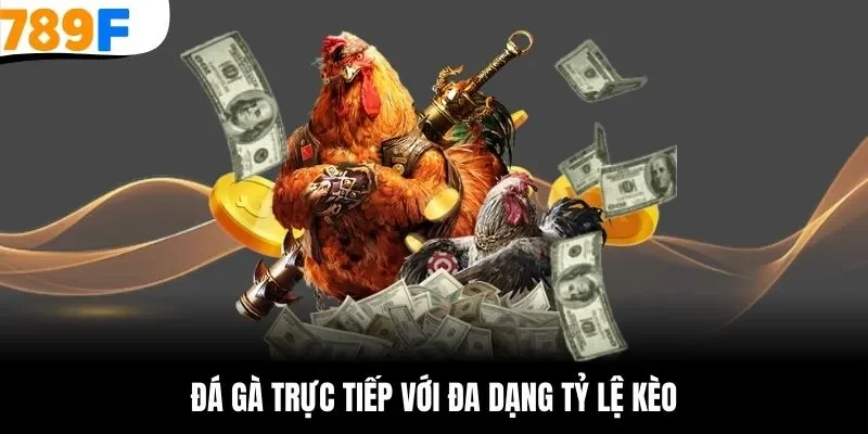Cá cược đá gà trực tiếp sắc nét tại 789F